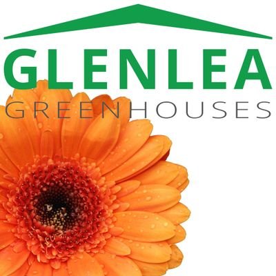 Sue MacLeod, Glenlea Greenhouses